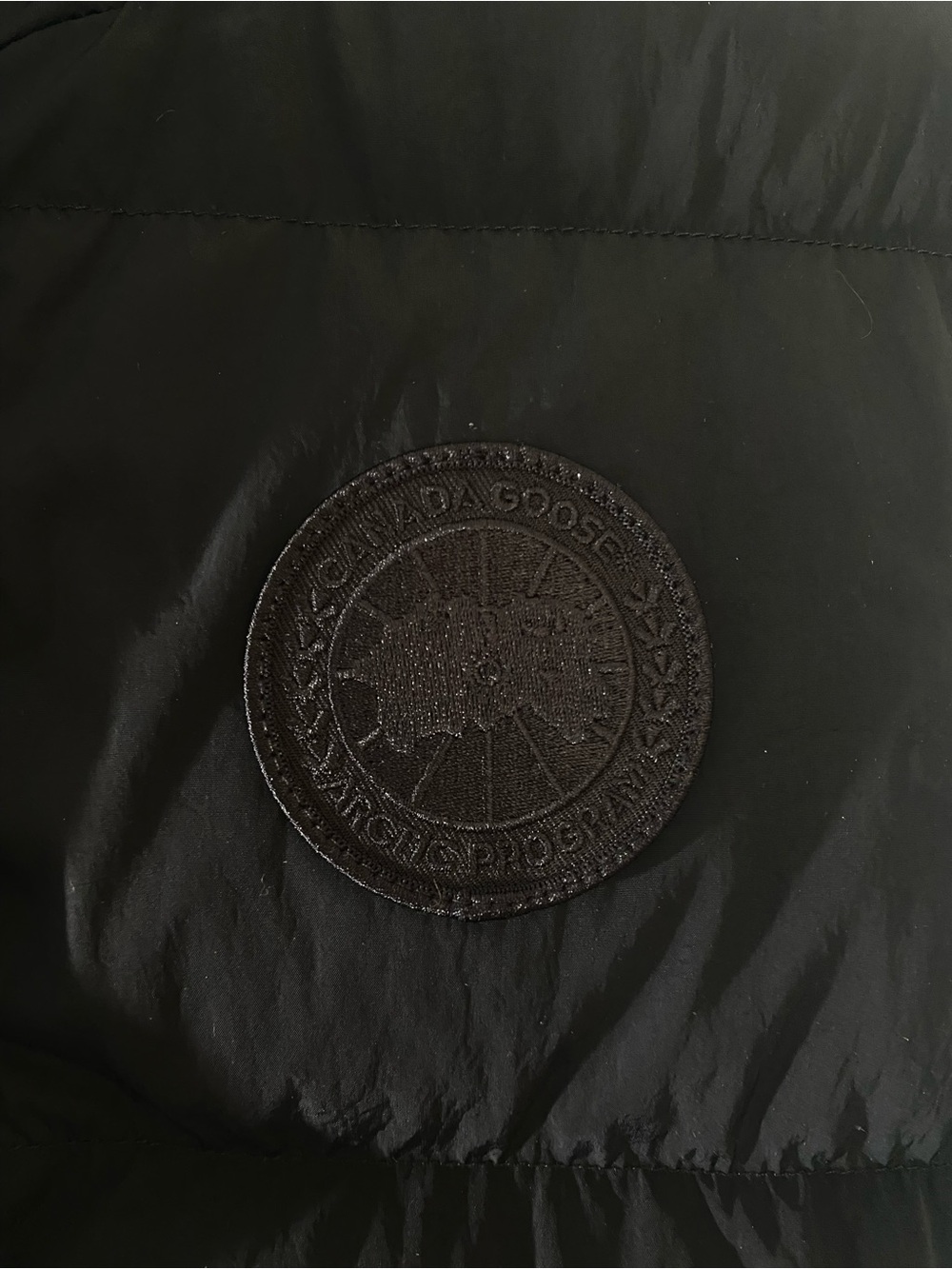 Rayla Vest - Picture 3 of 4